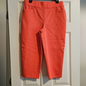 INTRO Love the fit. Stretch Capris. Sz 12. Washed but never worn.